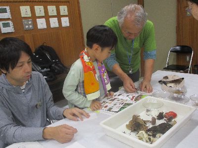 写真：講師と親子で図鑑調べ