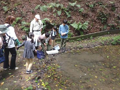 写真:池の中の泥をすくいカエルやイモリを探す参加者たち