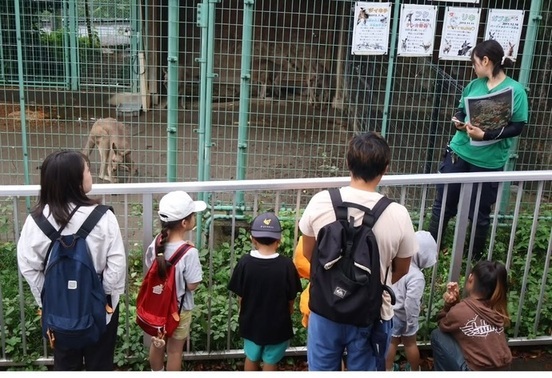 カンガルーのキーパーズトーク中の写真